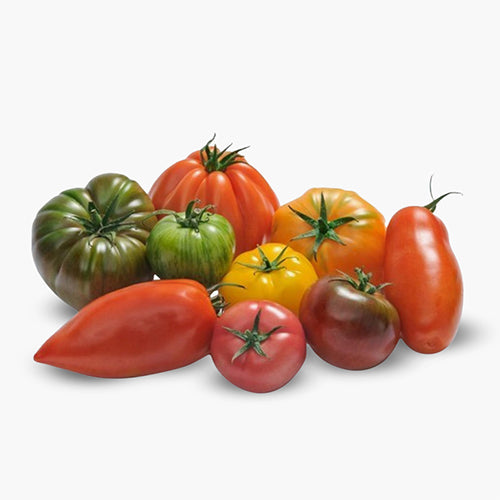 Tomate Heirloom Multicolores France 3,5kg