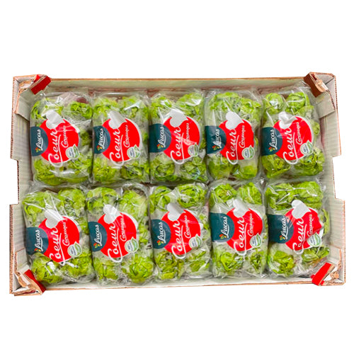 Salade Sucrine Espagne 10x500g